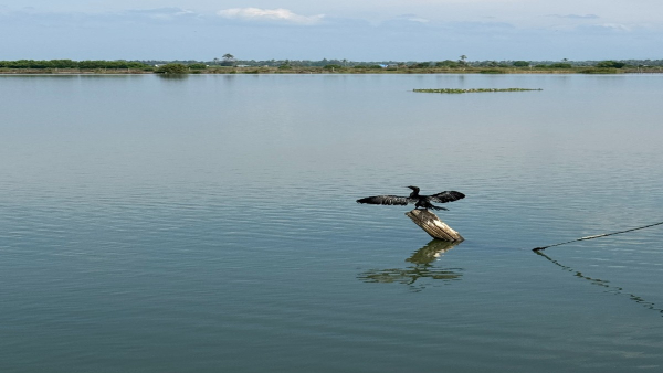 Anand Mahindra visits Kadamakkudy, a Kerala village