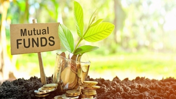 Multi-cap funds offer diversified exposure