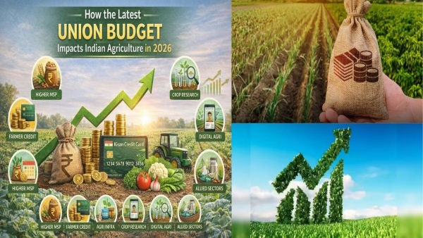 Union Budget Agriculture Reforms