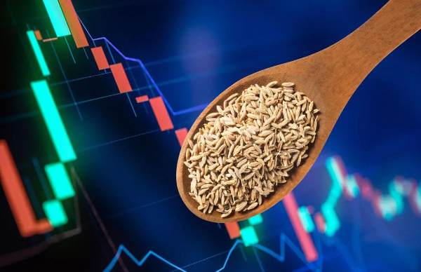 Commodity Market Live Updates: Jeera Futures Price Today