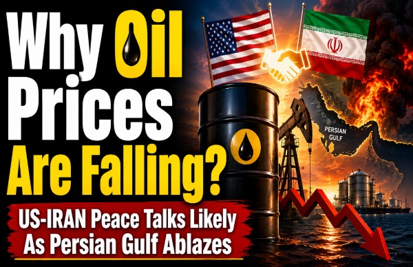 Crude Oil Prices Fall But Still Above 100: US & Tehran Peace Talks Likely