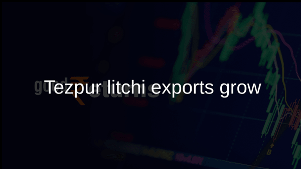 Tezpur litchi exports grow