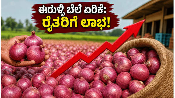 ರೈತರಿಗೆ ಬಂಪರ್ ಲಾಭ: ಈರುಳ್ಳಿ ಖರೀದಿ ಬೆಲೆ ಏರಿಕೆ, ಇನ್ಮುಂದೆ ಅಡುಗೆ ಮನೆ ಬಜೆಟ್ ಸೇಫ್!