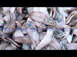 ಮಾರ್ಚ್ 29ರ ಪೇಟೆ ಧಾರಣೆ: ಮೀನು, ತರಕಾರಿ, ರಬ್ಬರ್  ಹಾಗೂ ರಸಗೊಬ್ಬರ ಮಾರುಕಟ್ಟೆ ಬೆಲೆ 