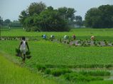  PM Kisan Yojana KYC last date : ರೈತರಿಗೆ ಸಿಹಿಸುದ್ದಿ: ಪಿಎಂ ಕಿಸಾನ್ ಯೋಜನೆ ಇಕೆವೈಸಿ ಮತ್ತೆ ವಿಸ್ತರಣೆ 