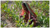  PM Kisan: ಈ ರೈತರಿಗೆ ಪಿಎಂ ಕಿಸಾನ್ ಮುಂದಿನ ಕಂತು ಲಭ್ಯವಾಗದು, ಕಾರಣವೇನು? 