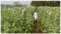 PM Kisan 13th Installment : ಹೋಳಿಗೂ ಮುನ್ನ ಪಿಎಂ ಕಿಸಾನ್ 13ನೇ ಕಂತು ಬಿಡುಗಡೆ, ಸ್ಟೇಟಸ್ ಚೆಕ್ ಮಾಡಿ
