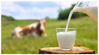  Milk Price: ಅಮುಲ್ ಬಳಿಕ ಈ ಬ್ರ್ಯಾಂಡ್ ಹಾಲಿನ ದರ 3 ರೂಪಾಯಿ ಏರಿಕೆ!