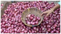  World Onion Crisis: ಈರುಳ್ಳಿ ಬಿಕ್ಕಟ್ಟಿನ ನಡುವೆ ಭಾರತೀಯ ರೈತರು ಸ್ಟಾಕ್‌ ಎಸೆಯುತ್ತಿರುವುದು ಏಕೆ?