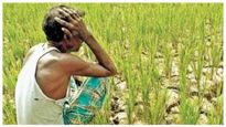 PM KISAN 13th Installment : ಕಿಸಾನ್ ನಿಧಿ 13ನೇ ಕಂತು ಲಭ್ಯವಾಗಿಲ್ಲವೇ, ಆನ್‌ಲೈನ್ ದೂರು ನೀಡಿ
