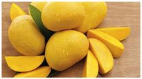  EMI On Mangoes: ಮಾವಿನ ಹಣ್ಣು ಖರೀದಿಸಿ ಇಎಂಐ ಪಾವತಿಸಿ, ಈ ಆಫರ್‌ ಬಗ್ಗೆ ತಿಳಿಯಿರಿ!