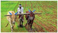 PM Kisan: ಪಿಎಂ ಕಿಸಾನ್ 14ನೇ ಕಂತಿನ ಮೊತ್ತ, ನಿಮಗೆ ಲಭ್ಯವಾಗಿದೆಯೇ ಚೆಕ್ ಮಾಡಿ