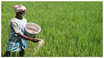 PM Kisan: ಪಿಎಂ ಕಿಸಾನ್ 14ನೇ ಕಂತು ಜಮೆಯಾಗದಿದ್ದರೆ ಹೀಗೆ ದೂರು ನೀಡಿ
