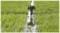 PM Kisan Yojana: ಪಿಎಂ ಕಿಸಾನ್‌ನ 15ನೇ ಕಂತು ಶೀಘ್ರ ಲಭ್ಯ, ಹೇಗೆ ಅರ್ಜಿ ಸಲ್ಲಿಸುವುದು?