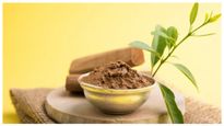  Sandalwood Farm: ಶ್ರೀಗಂಧದ ಫಾರ್ಮ್ ನಿರ್ಮಿಸಿ ಪ್ರತಿ ವರ್ಷ 5 ಕೋಟಿ ರೂಪಾಯಿ ಗಳಿಸುವುದು ಹೇಗೆ?