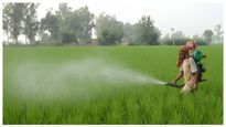  Subsidy On P&K Fertilisers: ರಾಬಿ ಸೀಸನ್‌ನಲ್ಲಿ ರಸಗೊಬ್ಬರಗಳಿಗೆ 22,303 ಕೋಟಿ ರೂಪಾಯಿ ಸಬ್ಸಿಡಿಗೆ ಕೇಂದ್ರ ಅಸ್ತು 