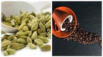 Arecanut, Coffee Price: ನವೆಂಬರ್ 28ರಂದು ಅಡಿಕೆ, ಕಾಫಿ, ಮೆಣಸು, ಏಲಕ್ಕಿ ಬೆಲೆ ಪರಿಶೀಲಿಸಿ