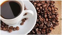  Arecanut, Coffee Price: ರಾಜ್ಯದಲ್ಲಿ ಅಡಿಕೆ, ಕಾಫಿ, ಮೆಣಸು, ಏಲಕ್ಕಿ ಬೆಲೆ ಎಷ್ಟಿದೆ?