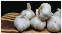 Garlic Price Hike: ಬೆಳ್ಳುಳ್ಳಿ ಬೆಲೆ ಸಾರ್ವಕಾಲಿಕ ಏರಿಕೆ, ಕಾರಣವೇನು?