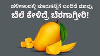  Gir Kesar Mango: ಚಳಿಗಾಲದಲ್ಲಿ ಮಾರುಕಟ್ಟೆಗೆ ಬಂದಿದೆ ಮಾವು, ಬೆಲೆ ಕೇಳಿದ್ರೆ ಬೆರಗಾಗ್ತೀರಿ!