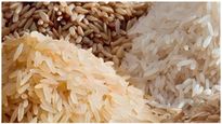  Rice Price: ಕರ್ನಾಟಕದಲ್ಲಿ ಅಕ್ಕಿ ಬೆಲೆ ಮತ್ತಷ್ಟು ಏರಿಕೆ ಸಾಧ್ಯತೆ, ಕಾರಣವೇನು, ಎಷ್ಟಾಗಲಿದೆ ದರ?