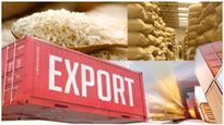  Rice Export: ಭಾರತದ ಅಕ್ಕಿ ರಫ್ತು ದರ ಸಾರ್ವಕಾಲಿಕ ಏರಿಕೆ, ಕಾರಣವೇನು? 