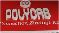  Polycab India: ಒಂದೇ ದಿನದಲ್ಲಿ ಶೇ. 21ರಷ್ಟು ಕುಸಿದ ಪಾಲಿ ಕ್ಯಾಬ್ ಇಂಡಿಯಾ ಷೇರು!