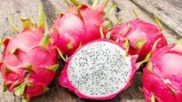 Dragon Fruits Exports: ಉಪ ಮುಖ್ಯಮಂತ್ರಿ ಜಮೀನಿನಲ್ಲಿ ಬೆಳದ ಹಣ್ಣು ದುಬೈಗೆ ರಫ್ತು 