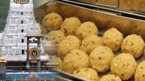 Tirupati Laddu: ತಿರುಪತಿ ಶ್ರೀ ವೆಂಕಟೇಶ್ವರ ದೇವಸ್ಥಾನಕ್ಕೆ ಲಡ್ಡು ಮಾರಾಟದಿಂದಲೇ ದಾಖಲೆಯ ಆದಾಯ