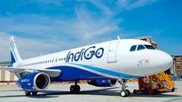 IndiGo Airlines: ಇಂಡಿಗೊ ಏರ್‌ಲೈನ್ಸ್‌ ಸರ್ವರ್‌ನಲ್ಲಿ ಸಮಸ್ಯೆ- ಪರದಾಡಿದ ಪ್ರಯಾಣಿಕರು 