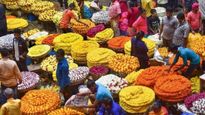 Bengaluru flower prices:ಗೌರಿ-ಗಣೇಶ ಹಬ್ಬದ ಕಲರವ..ಬೆಂಗಳೂರಿನಲ್ಲಿ ಕೆ.ಜಿಗೆ 3,800 ರೂ.ವರೆಗೂ ತಲುಪಿದೆ ಹೂವಿನ ಬೆಲೆ!