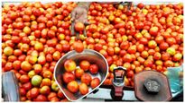 Tomato Price Hike: ದುಬಾರಿಯಾಯ್ತು ಟೊಮೆಟೊ! ಬರೀ 15 ದಿನಗಳಲ್ಲಿ ಗಗನಕ್ಕೇರಿದ ಟೊಮೆಟೊ ಬೆಲೆ