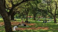 Tree Park: ಬೆಂಗಳೂರಿಗೆ ಸರ್ಕಾರದಿಂದ ಮತ್ತೊಂದು ಯೋಜನೆ...65 ಎಕರೆಯ ಟ್ರೀ ಪಾರ್ಕ್‌ನಲ್ಲಿ ಏನೆಲ್ಲಾ ಇರುತ್ತೆ ಗೊತ್ತಾ?
