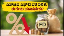 ಎಸ್‌ಬಿಐ ಬಲ್ಕ್ ಎಫ್‌ಡಿ ಬಡ್ಡಿ ದರ ಕಡಿತ: ಹೂಡಿಕೆದಾರರಿಗೆ ಶಾಕ್, ಪರ್ಯಾಯ ಮಾರ್ಗಗಳೇನು?