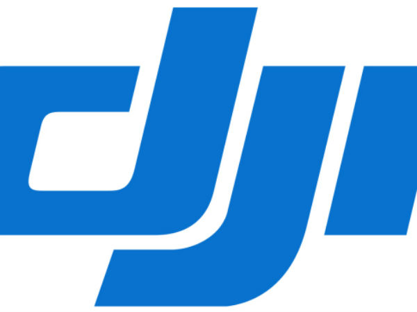 13. DJI