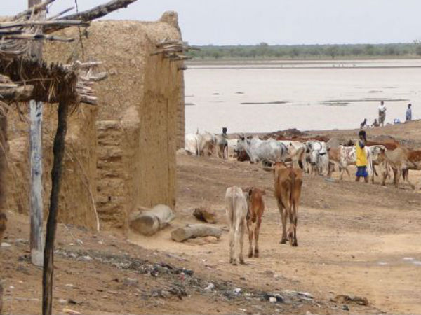 15. ಬುರ್ಕಿನಾ ಫಾಸೊ