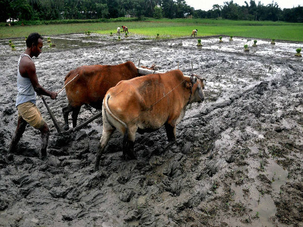 ರೈತರ ಸಾಲಮನ್ನಾ, ಕೃಷಿ ಹೊಂಡ