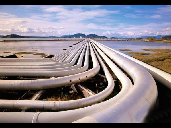 ಚಿತ್ರದುರ್ಗ, ಹಾವೇರಿ, ಬಿಜಾಪುರ, ಬಾಗಲಕೋಟೆ