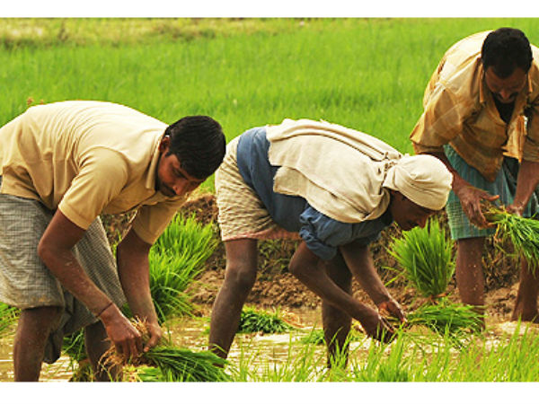 ರೈತರಿಗೆ ರೂ. 6 ಸಾವಿರ ಕೋಟಿ ಮೀಸಲು