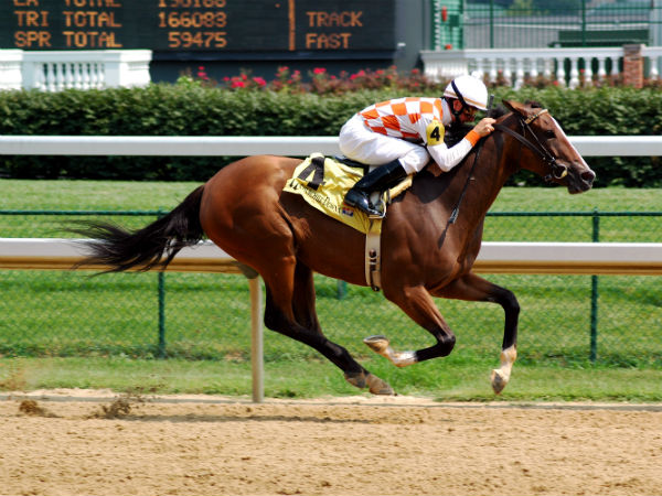 ಈ ಆದಾಯಗಳಿಗೆ ಟಿಡಿಎಸ್ ಕಡಿತ ಇದೆ