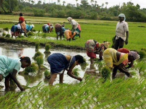 ಋಣಮುಕ್ತ ರೈತರು
