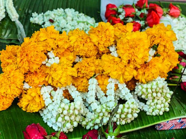 ಒಣಗಿದ ಹೂಗಳು 