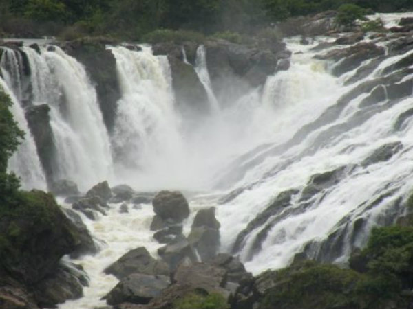 ಬಾದಾಮಿ ಅಭಿವೃದ್ಧಿಗೆ ಹೆಚ್ಚಿನ ಒತ್ತು 