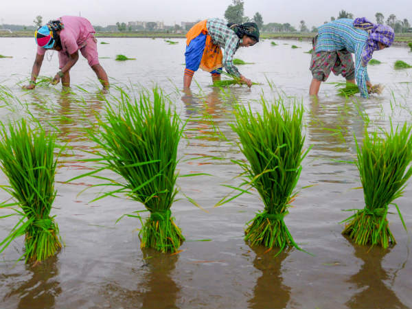 ಕರಾವಳಿ ಪ್ಯಾಕೇಜ್