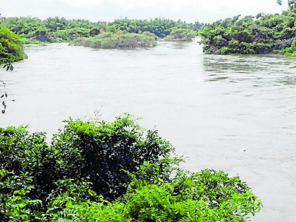 ದ್ರಾಕ್ಷಿ ಮತ್ತು ದಾಳಿಂಬೆ ವಿಶೇಷ ಪ್ಯಾಕೇಜ್ 