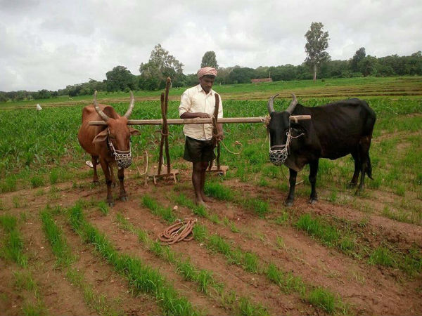 ಗುರುತಿನ ದಾಖಲಾತಿ