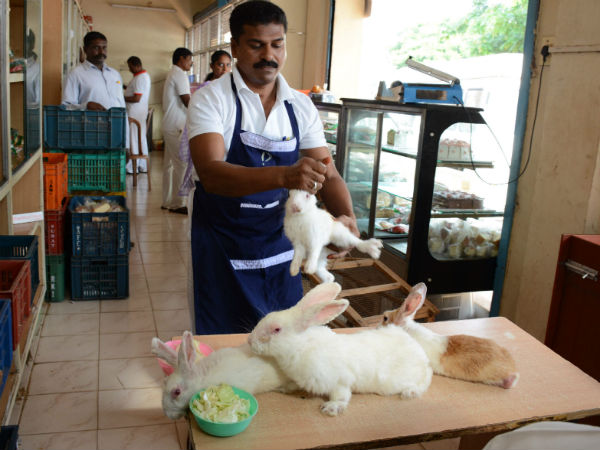 ವಾರ್ಷಿಕ 8 ಲಕ್ಷದವರೆಗೆ ಗಳಿಕೆ