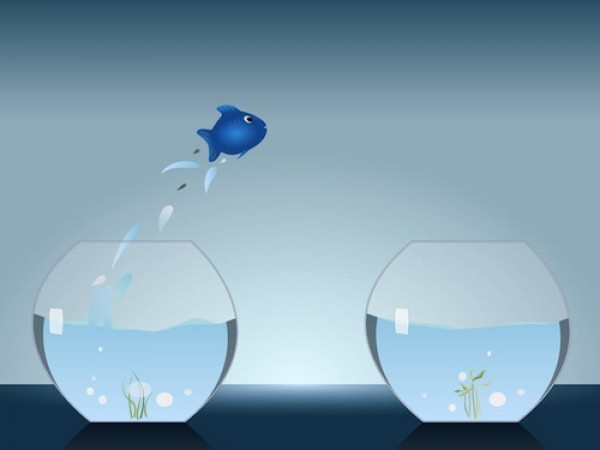 3. ನಿಮ್ಮ ಸವಾಲು