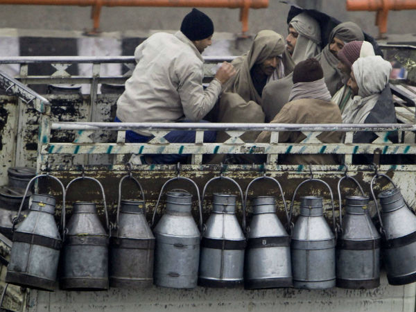 11. ಹಾಲು ಉತ್ಪನ್ನಗಳ ರಫ್ತು