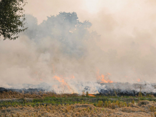  ಕೃಷಿ ತ್ಯಾಜ್ಯ ಸುಡುವುದನ್ನು ತಡೆಯಲು ಸಾಧ್ಯವಾಗುತ್ತಿಲ್ಲ 